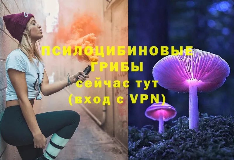 Галлюциногенные грибы Cubensis  МЕГА ONION  Анива 